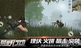 荒野行动最新活动爆料图,揭秘神秘爆料图背后的精彩内容