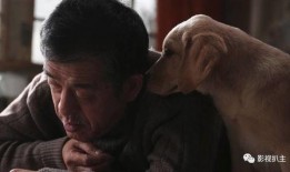 忠爱无言在线观看,感人至深的动物情感故事