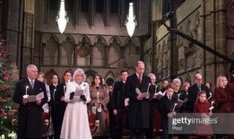 英国王室的爆料视频,英国王室内部爆料视频曝光惊人内幕